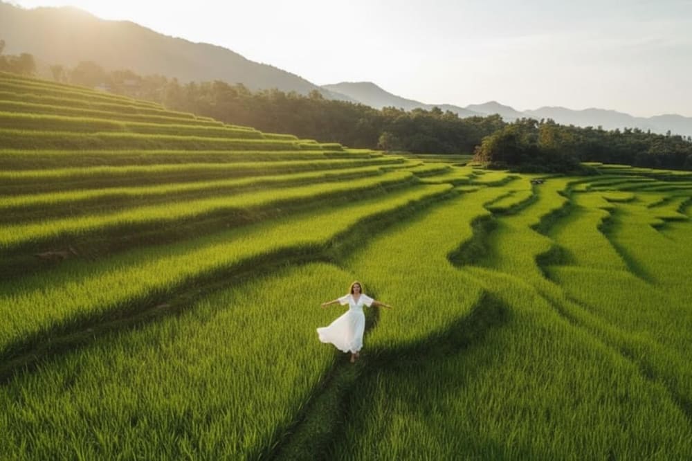 Mùa lúa mới tại Pù Luông.